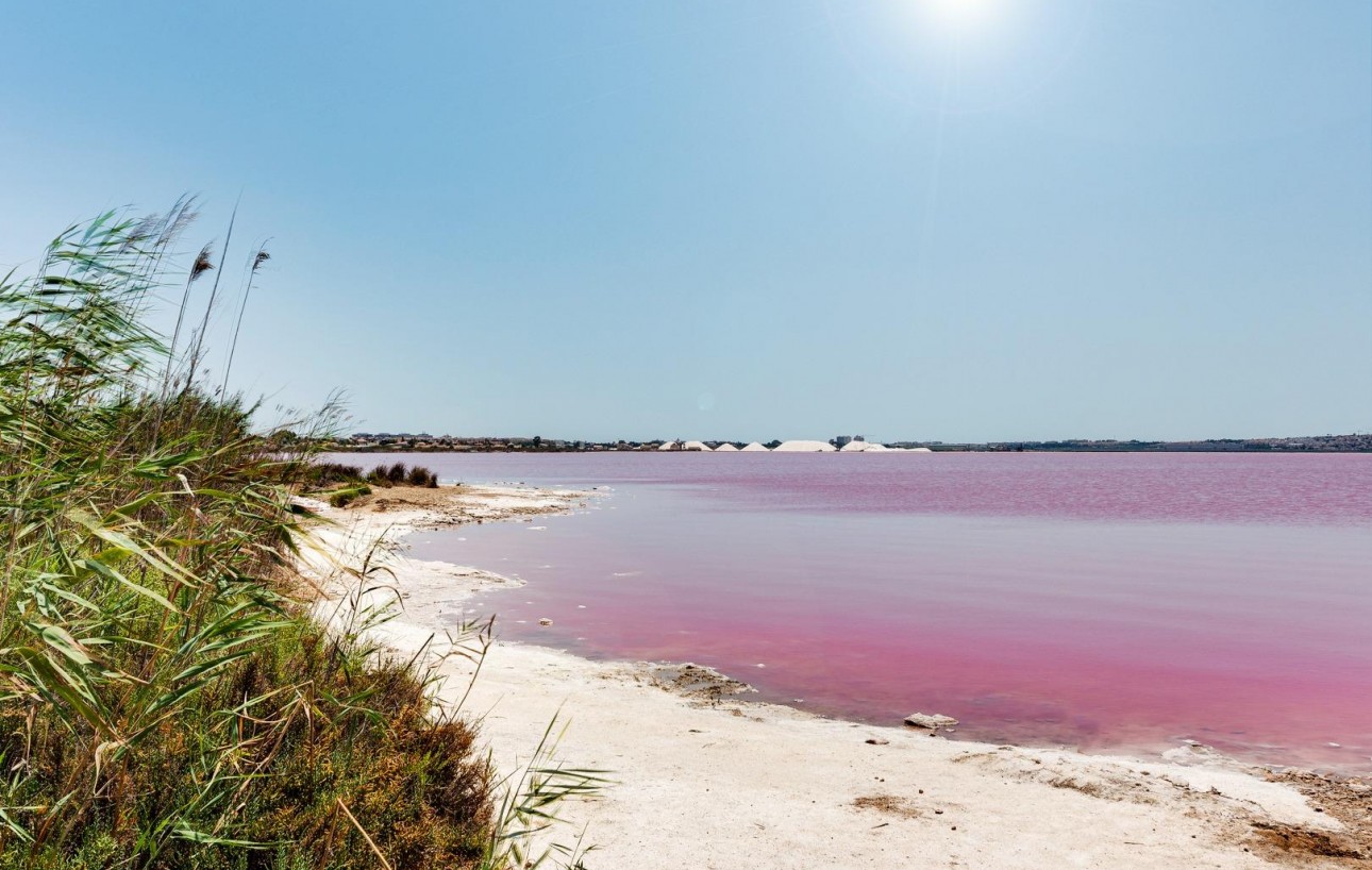 Venta - Chalet - Torrevieja - El limonar