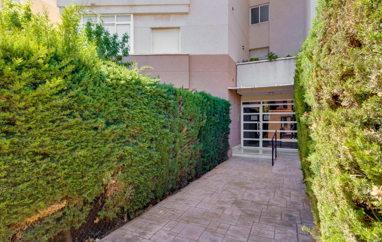 Sale - Apartment - Torrevieja - Nueva Torrevieja