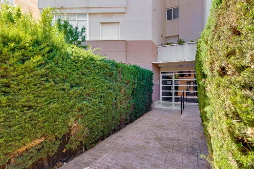 Sale - Apartment - Torrevieja - Nueva Torrevieja