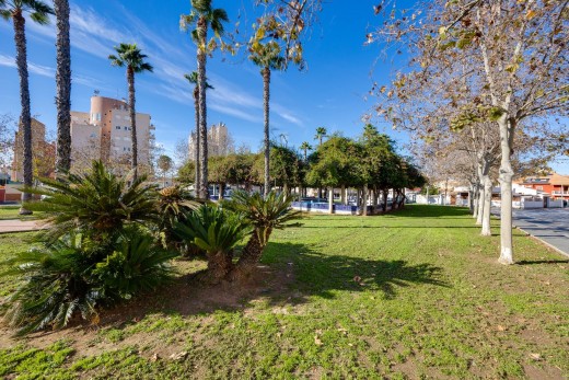 Sale - Apartment - Torrevieja - Nueva Torrevieja