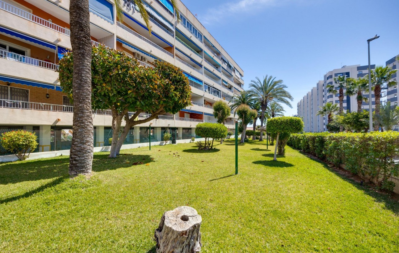 Sale - Apartment - Torrevieja - Punta prima