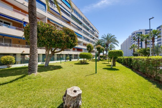 Sale - Apartment - Torrevieja - Punta prima