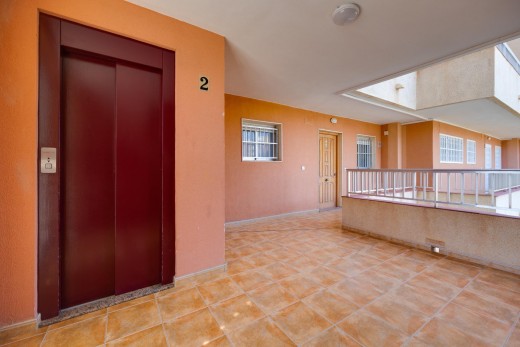 Sale - Apartment - Torrevieja - Punta prima