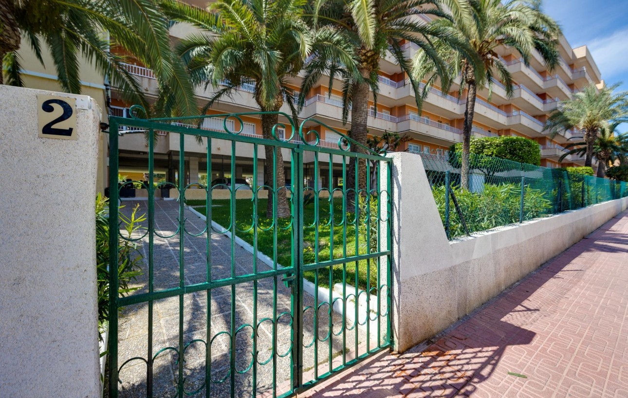 Sale - Apartment - Torrevieja - Punta prima