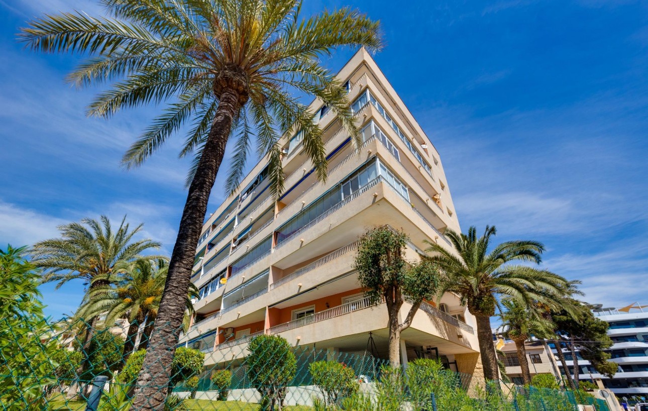 Sale - Apartment - Torrevieja - Punta prima