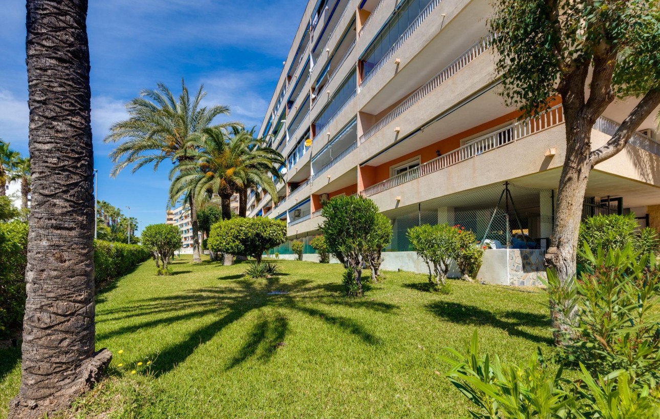 Sale - Apartment - Torrevieja - Punta prima