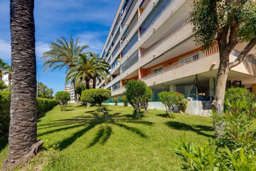 Sale - Apartment - Torrevieja - Punta prima