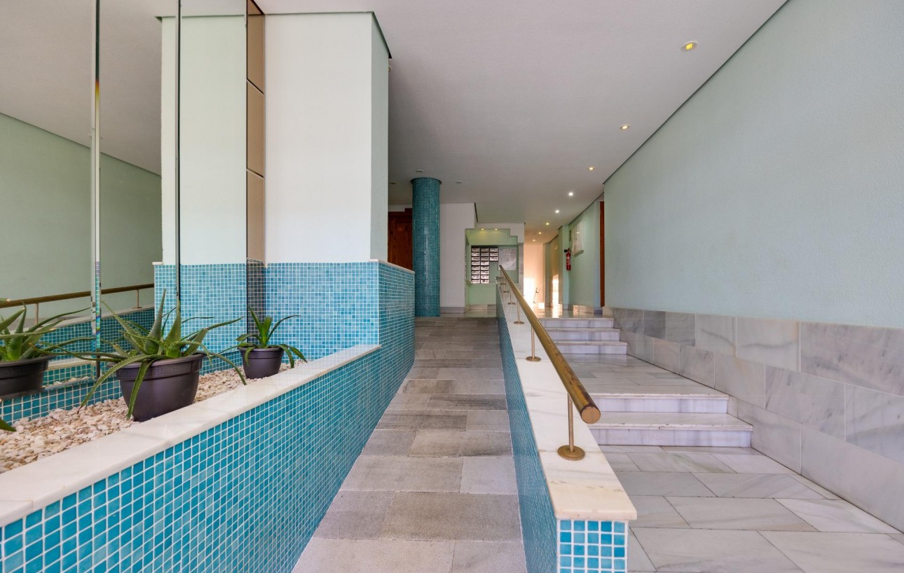 Venta - Apartamento - Torrevieja - Estacion de autobuses