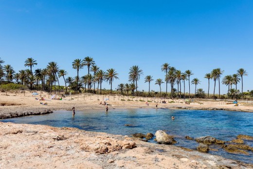 Venta - Apartamento - Torrevieja - Punta prima