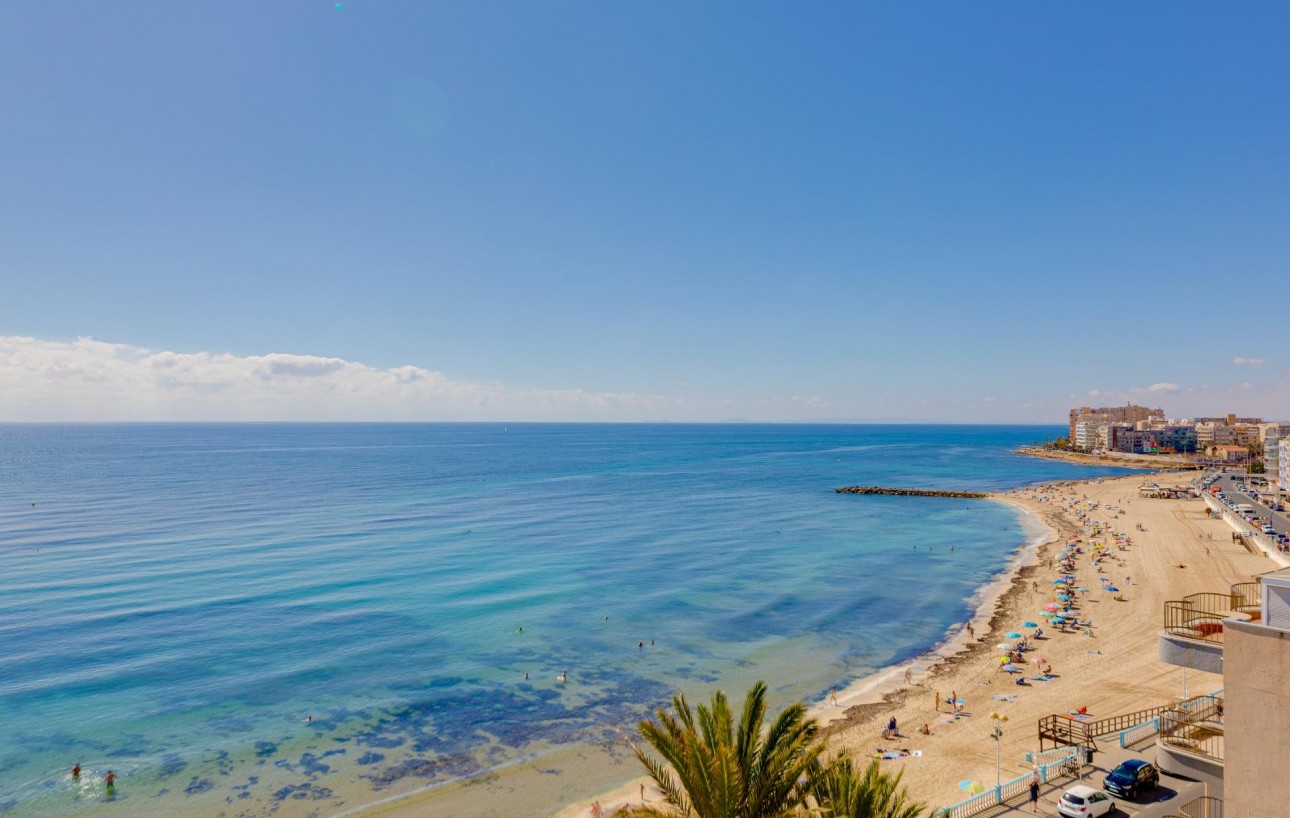 Resale - Wohnung - Torrevieja - Rosaleda-los frutales