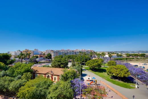 Revente - Appartement - Torrevieja - Acequion