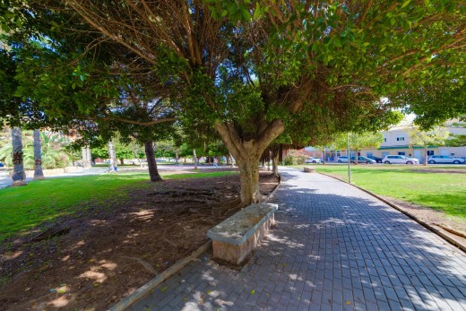 Revente - Appartement - Torrevieja - Acequion