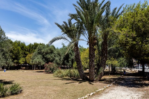 Revente - Appartement - Torrevieja - Acequion