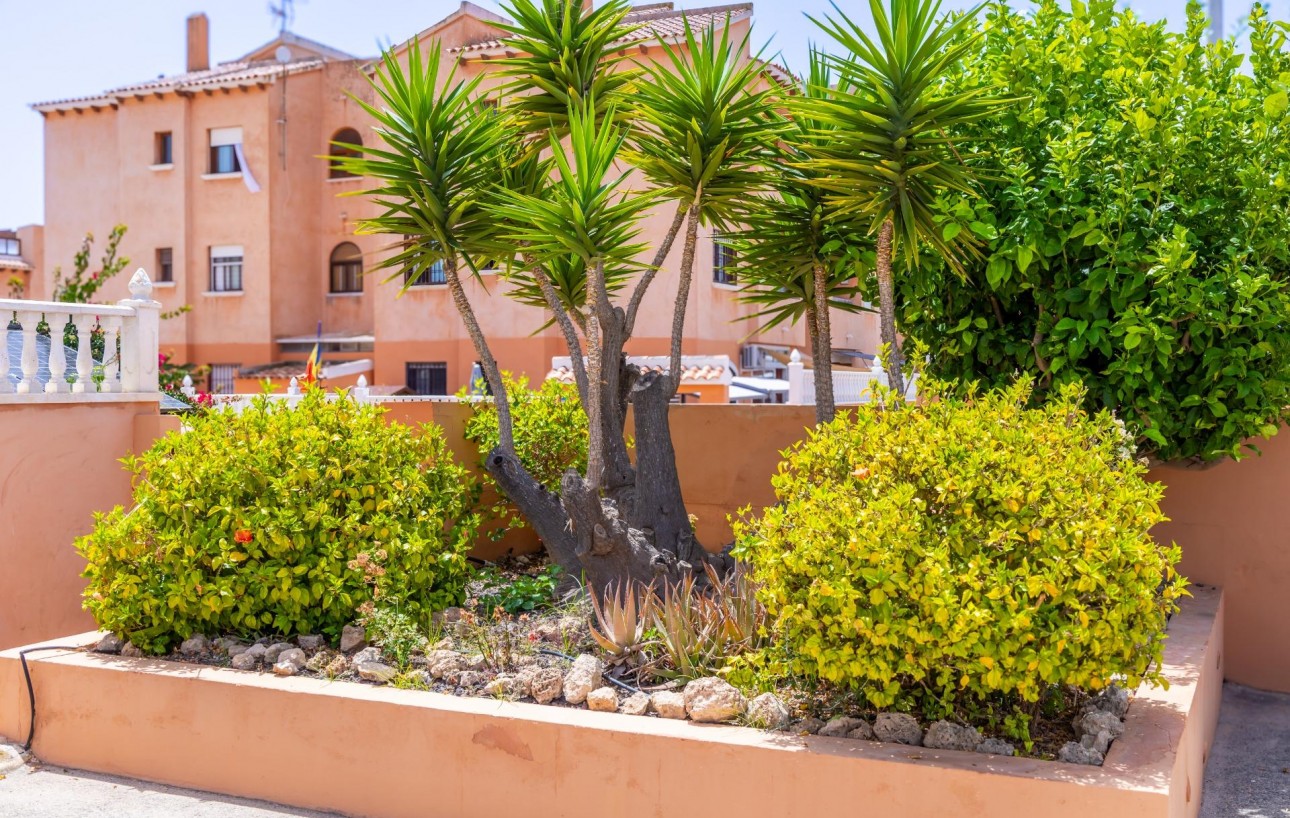 Resale - Wohnung - Torrevieja - Zona los Frutales