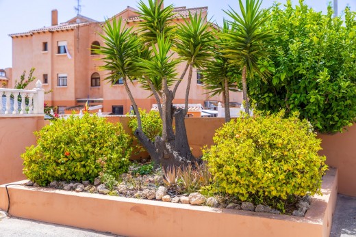 Resale - Wohnung - Torrevieja - Zona los Frutales