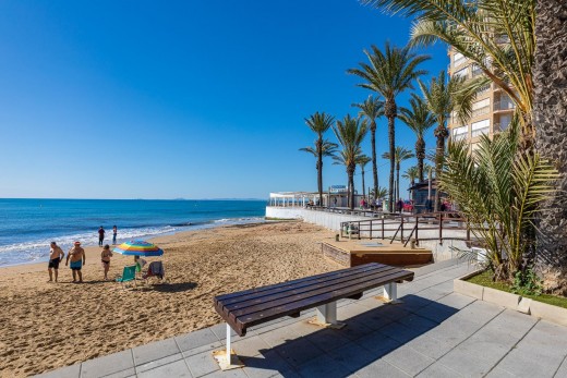 Revente - Étude - Torrevieja - Playa del cura