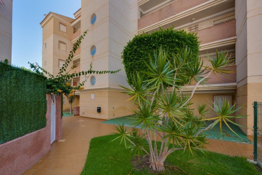 Sale - Apartment - Torrevieja - Calas blanca