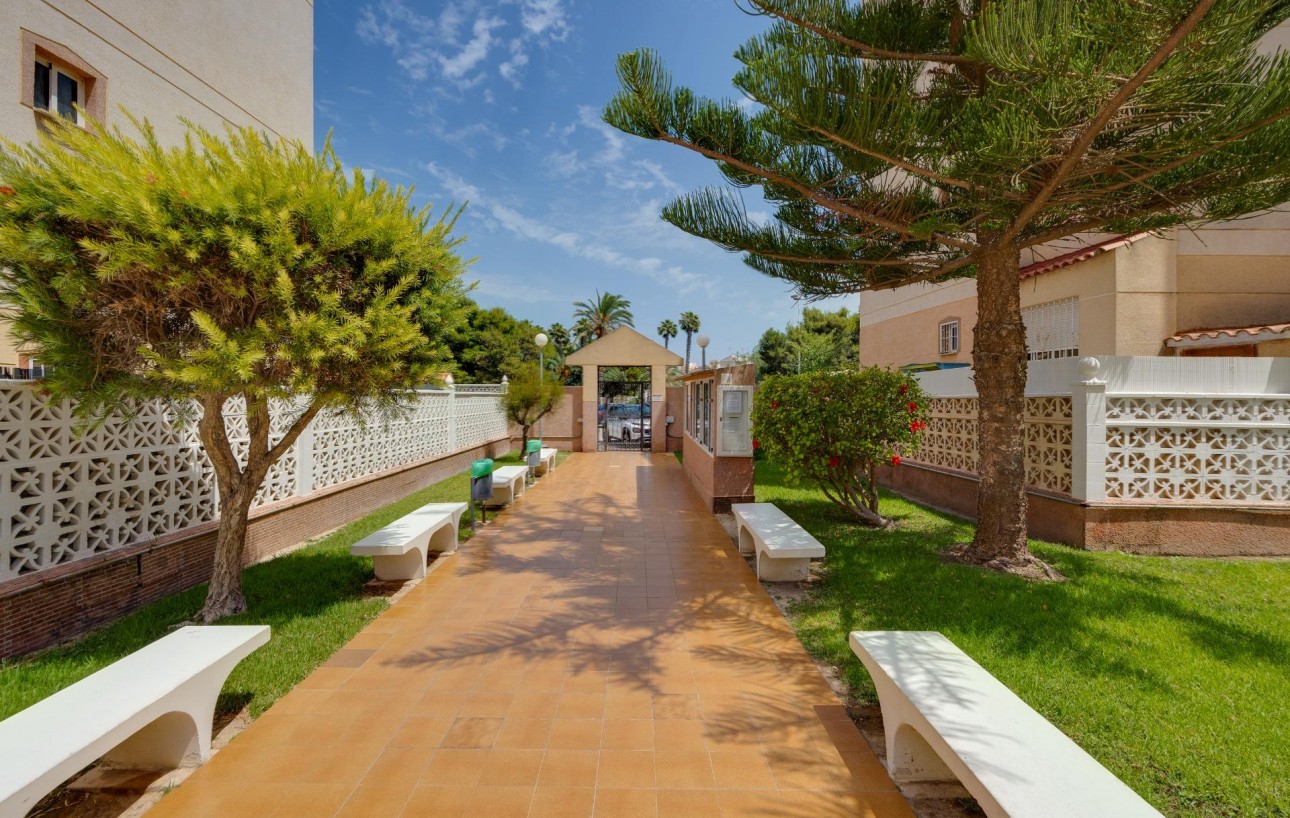 Sale - Apartment - Torrevieja - Calas blanca