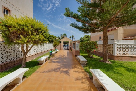 Sale - Apartment - Torrevieja - Calas blanca