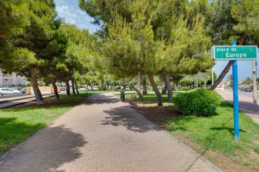 Sale - Apartment - Torrevieja - Calas blanca