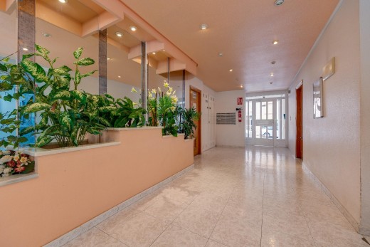 Resale - Lägenhet - Torrevieja - Habaneras