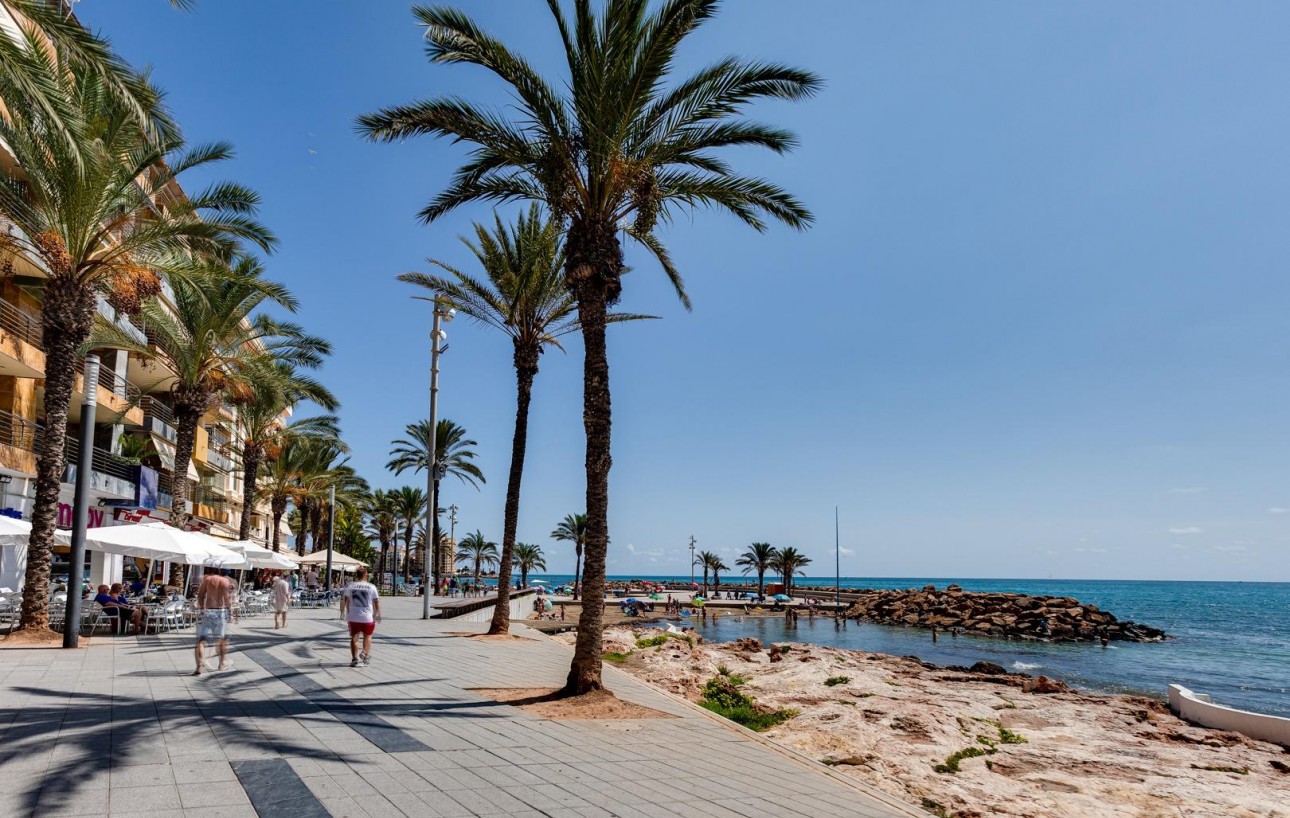 Revente - Appartement - Torrevieja - Estacion de autobuses