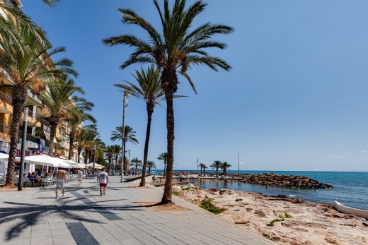 Revente - Appartement - Torrevieja - Estacion de autobuses