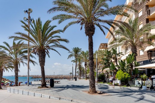 Revente - Appartement - Torrevieja - Estacion de autobuses