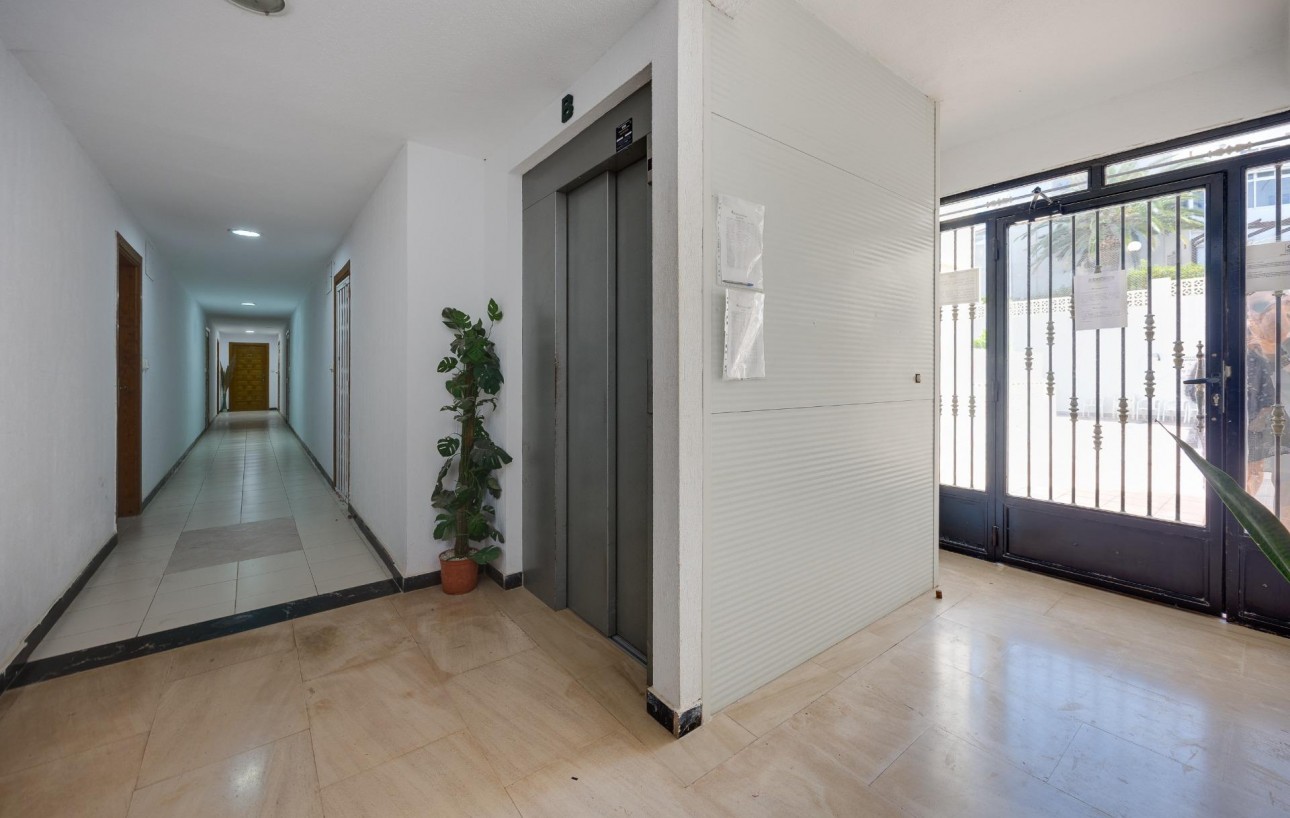 Venta - Apartamento - Torrevieja - Torre la mata
