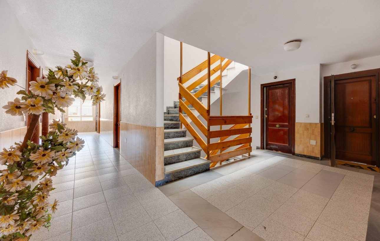 Resale - Studie - Torrevieja - Centro