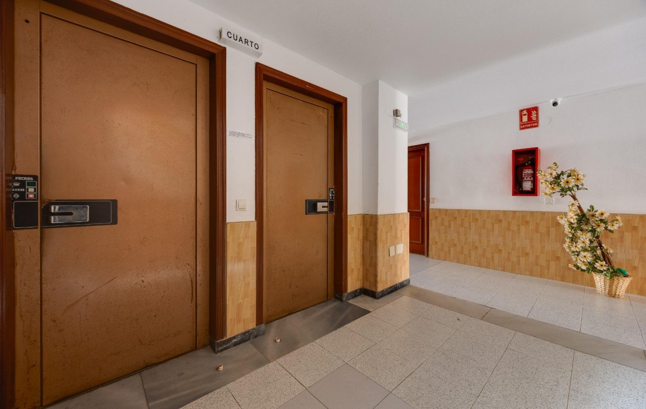 Resale - Studie - Torrevieja - Centro