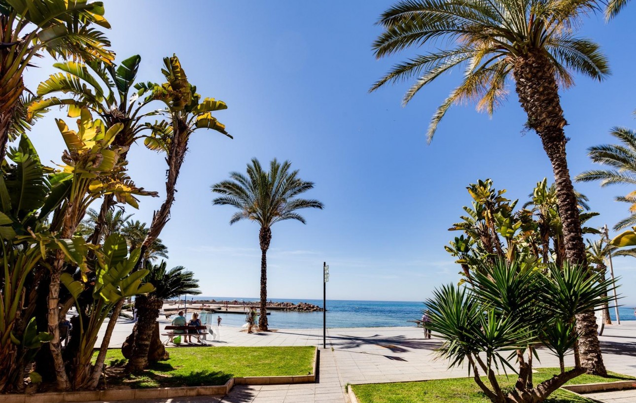 Venta - Apartamento - Torrevieja - Centro