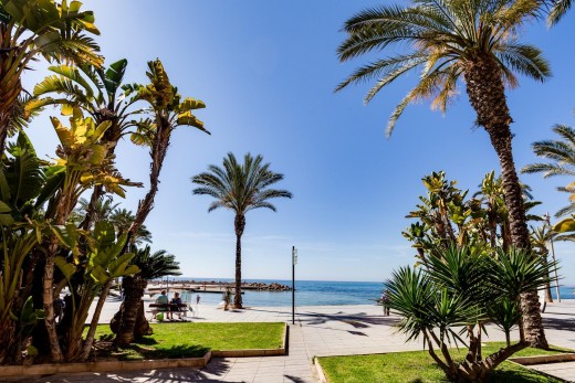 Venta - Apartamento - Torrevieja - Centro