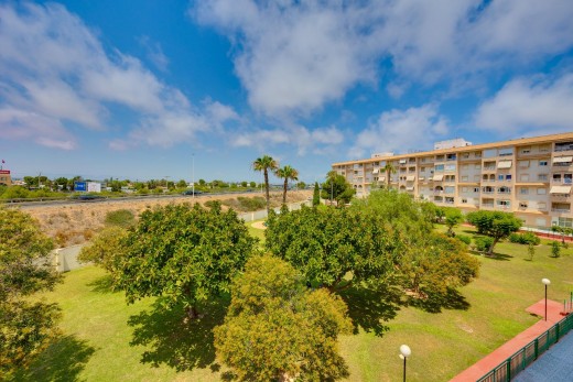 Sale - Apartment - Torrevieja - Parque de las Naciones