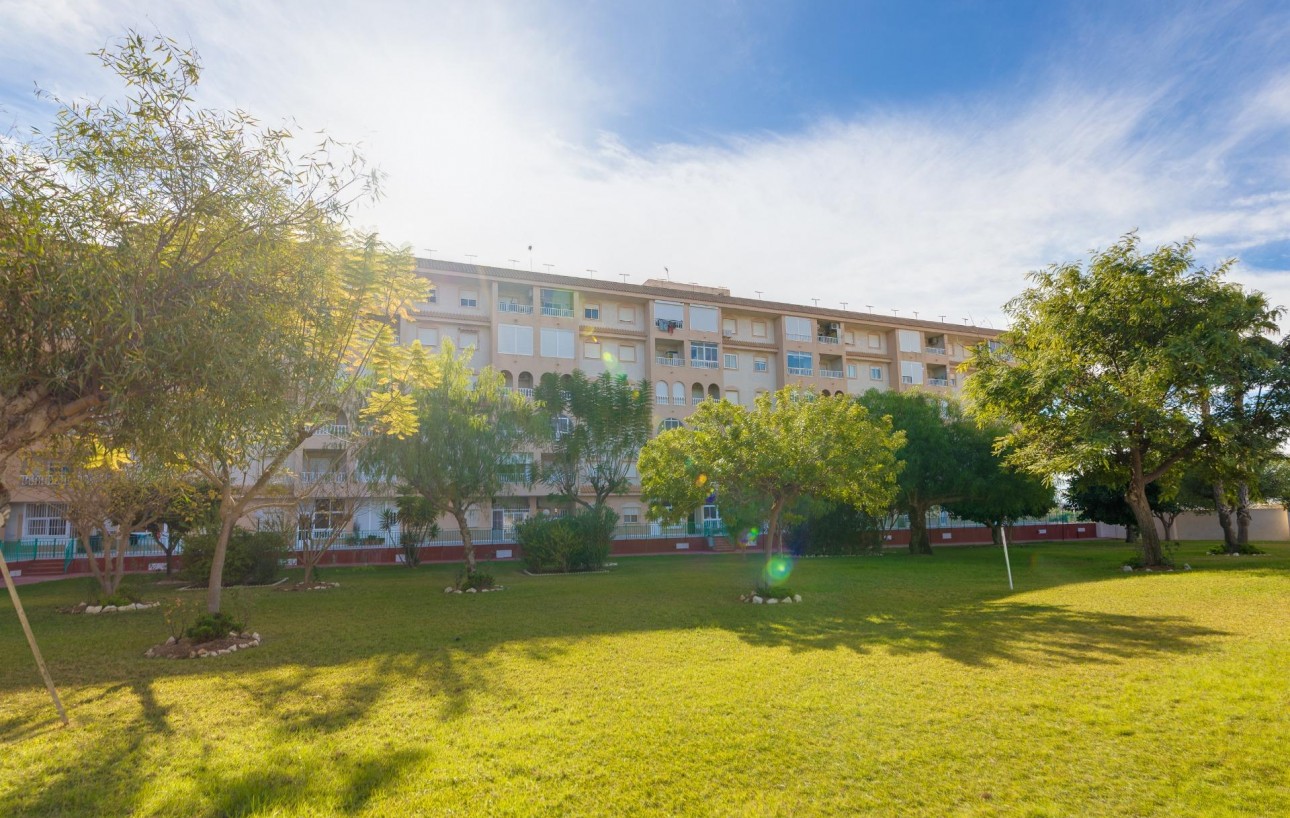 Sale - Apartment - Torrevieja - Parque de las Naciones