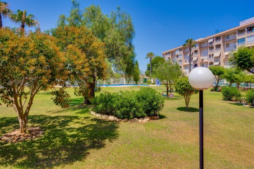 Sale - Apartment - Torrevieja - Parque de las Naciones