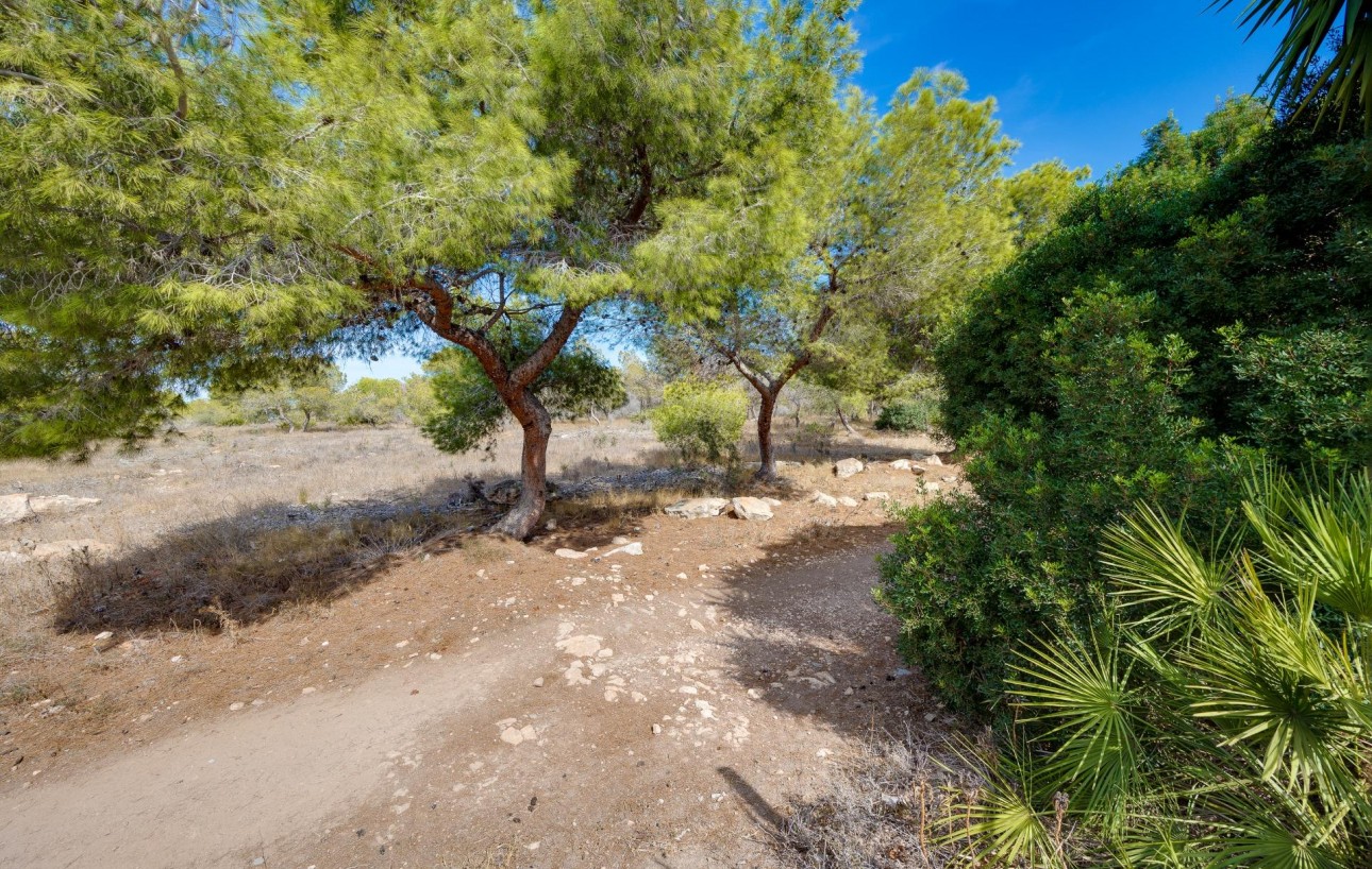 Sale - Townhouse - Torrevieja - La Siesta - El Salado - Torreta