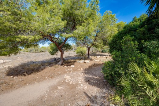 Sale - Townhouse - Torrevieja - La Siesta - El Salado - Torreta