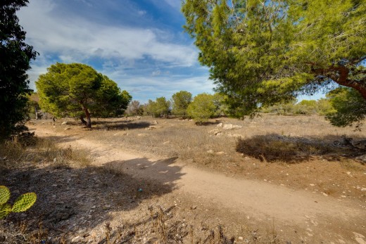 Sale - Townhouse - Torrevieja - La Siesta - El Salado - Torreta