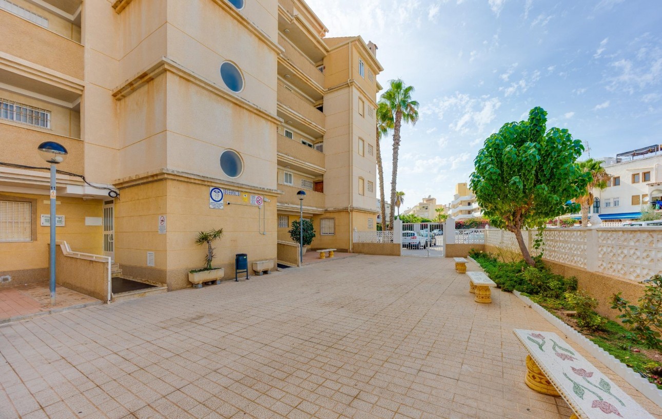 Sale - Apartment - Torrevieja - Playa de los locos