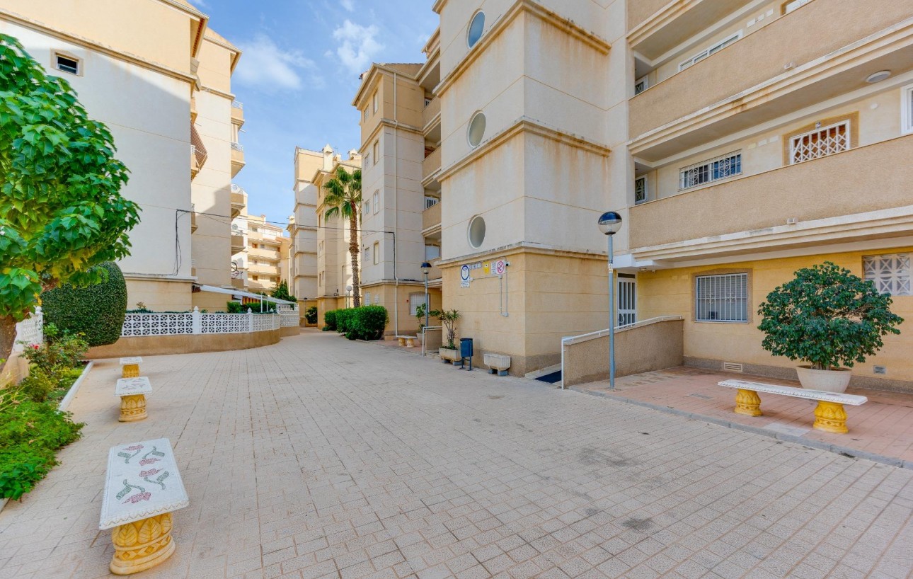 Sale - Apartment - Torrevieja - Playa de los locos