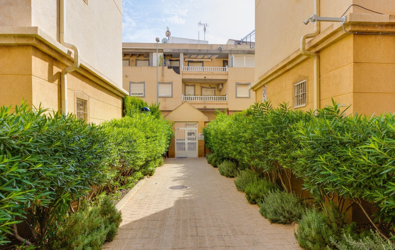 Sale - Apartment - Torrevieja - Playa de los locos