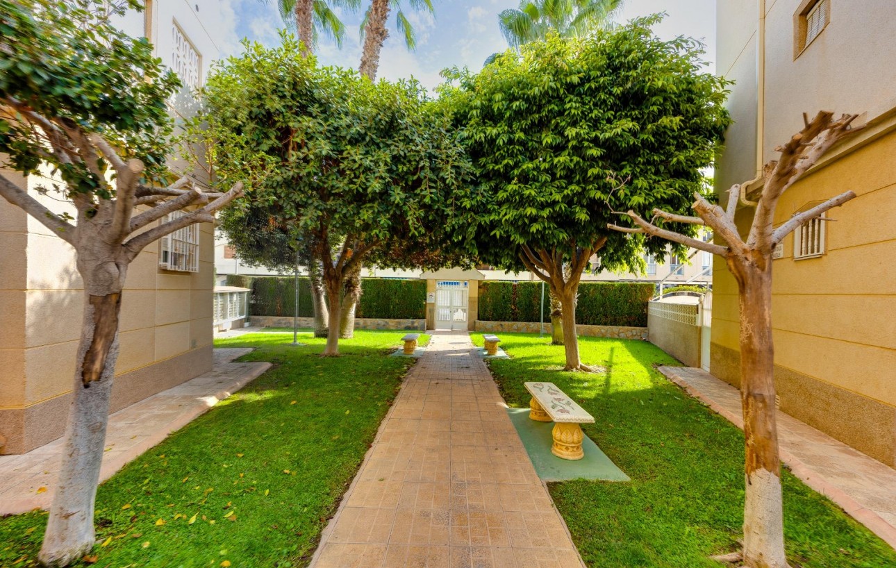 Sale - Apartment - Torrevieja - Playa de los locos