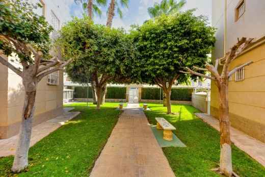 Sale - Apartment - Torrevieja - Playa de los locos