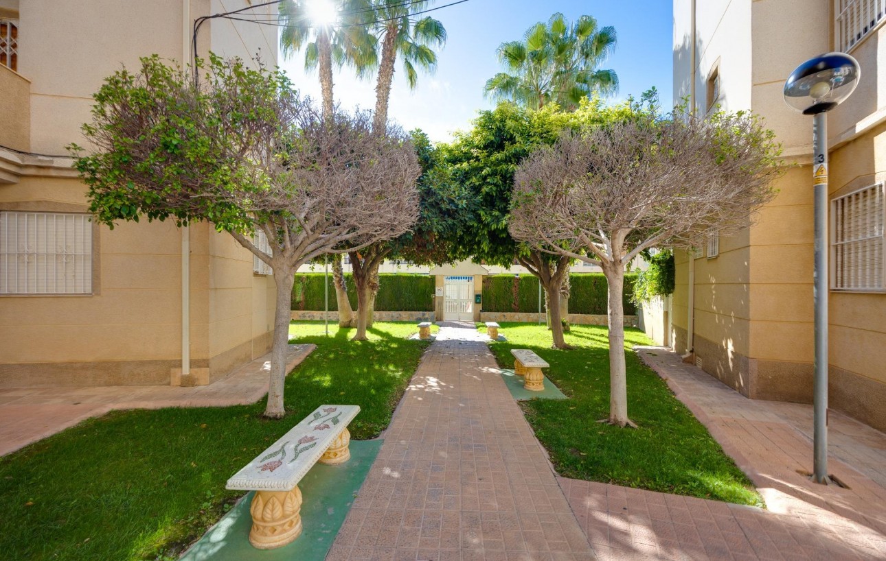 Sale - Apartment - Torrevieja - Playa de los locos