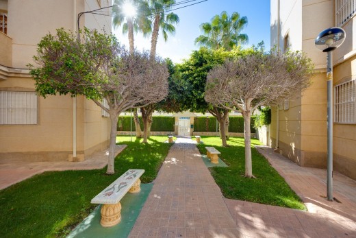 Sale - Apartment - Torrevieja - Playa de los locos