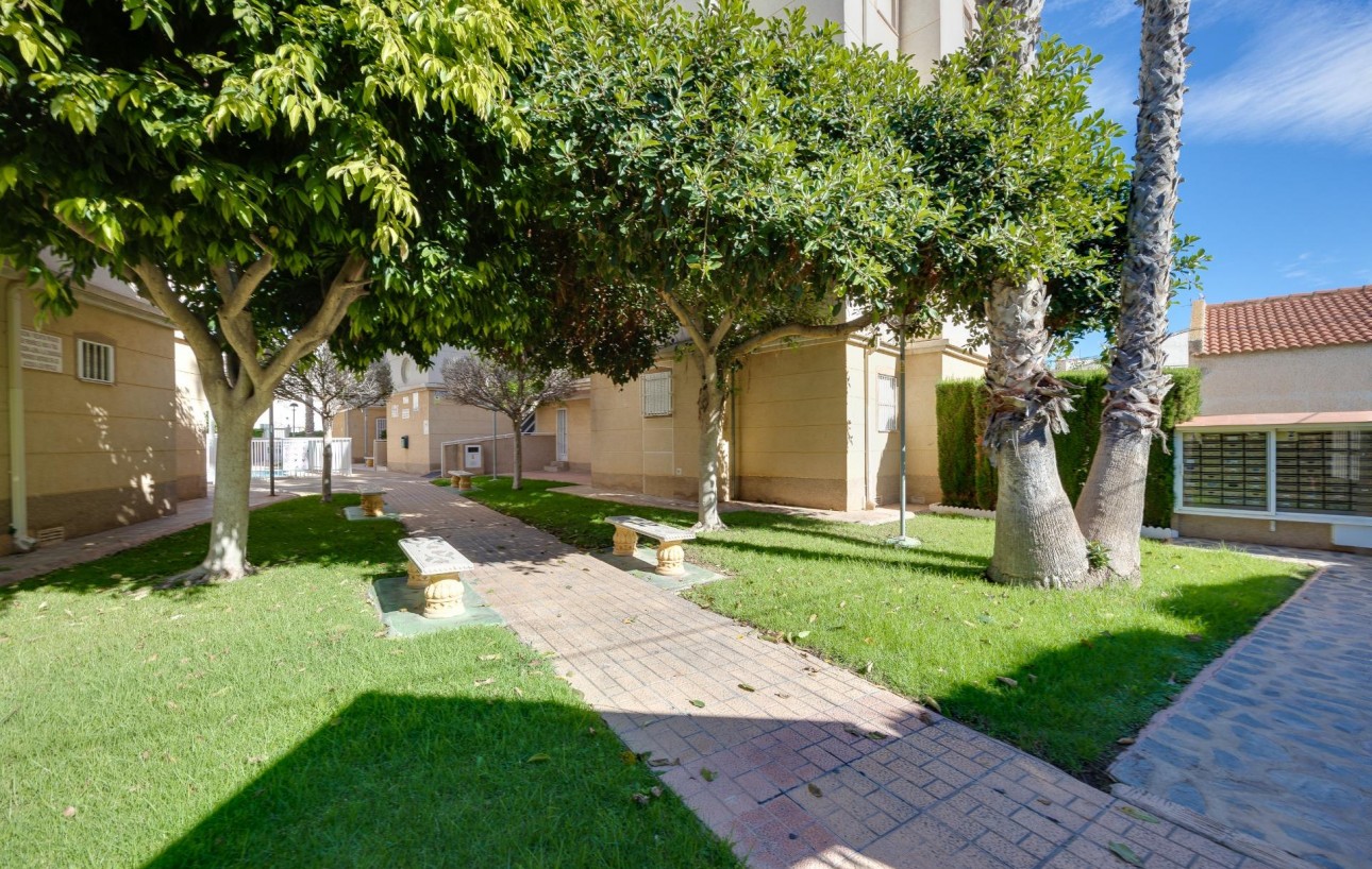 Sale - Apartment - Torrevieja - Playa de los locos