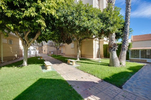 Sale - Apartment - Torrevieja - Playa de los locos