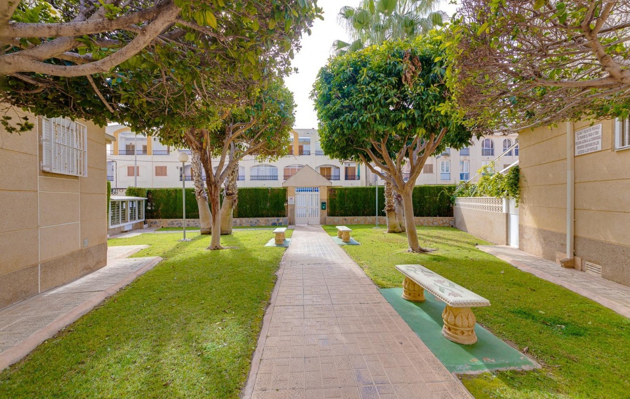 Sale - Apartment - Torrevieja - Playa de los locos