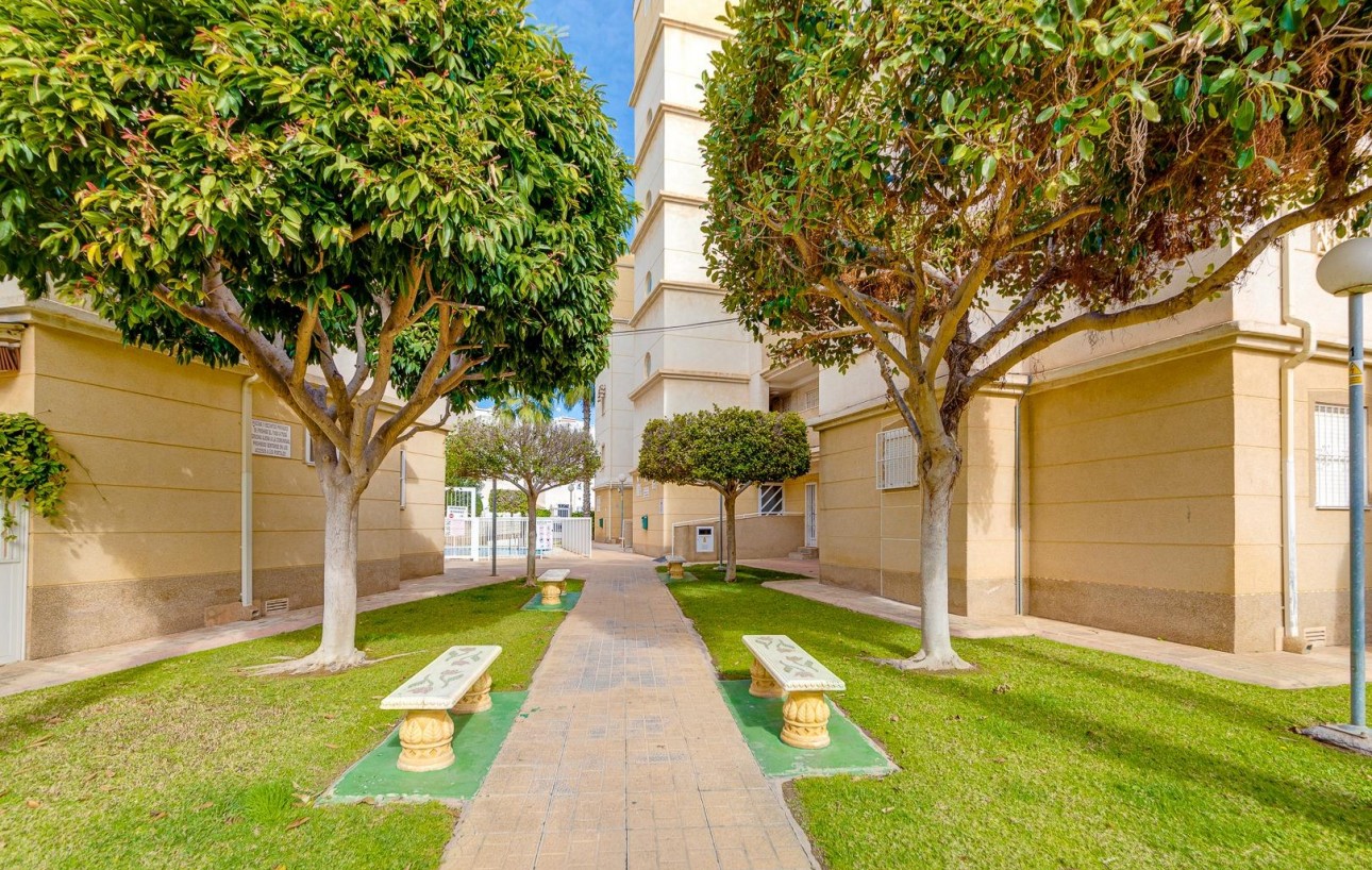 Sale - Apartment - Torrevieja - Playa de los locos